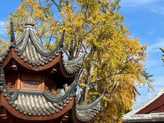 -上海东林寺(金山区)