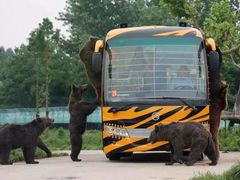 -大连森林动物园