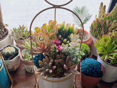 -万卉源鲜花店(百尚生活广场店)