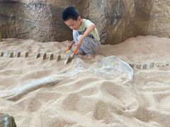 -呼和浩特市老牛儿童探索馆