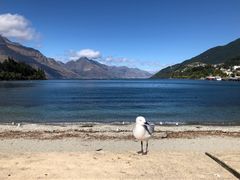 -Patagonia Chocolates(皇后镇店)