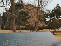 -北京明城墙遗址公园