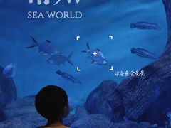 -常州海昌海洋探索馆
