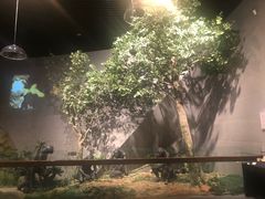 -北京周口店北京人遗址博物馆