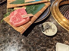 -老乾杯(深圳湾万象城店)