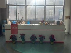 -上海冠松华奥奥迪4S店(张江店)