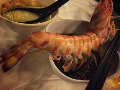 -鲜入围煮花胶鸡海鲜火锅