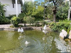 -广富林宰相府酒店·水云间