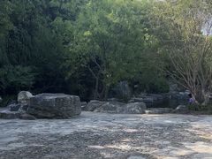 -上海吴淞炮台湾国家湿地公园