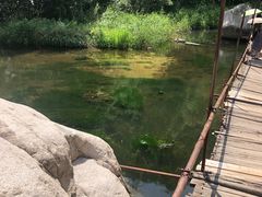 -碓臼峪自然风景区