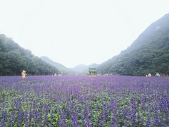 -广州市石门国家森林公园