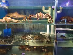 水产区-辉记炭烧海鲜大排档·老字号(福田店)