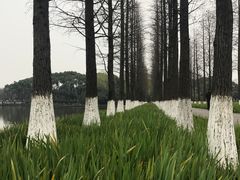 -圩墩遗址公园