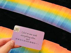 -雪灵魔法世界SHELLY’S TAROT(大良桂畔里店)
