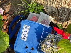 -南宋胡记(杭州灵隐寺店)