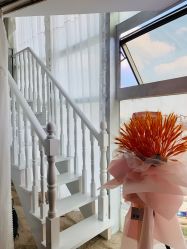 -첫번째 初见美学中心