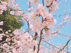 -静安雕塑公园