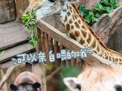 -长鹿旅游休博园