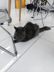 -允·여성헤어女发工作室