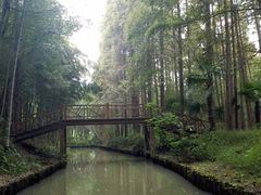 -同里国家湿地公园