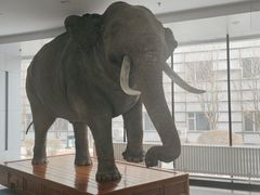 -吉林省自然博物馆