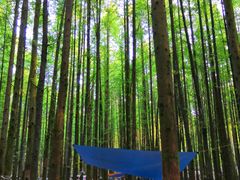 -山王坪喀斯特国家生态公园