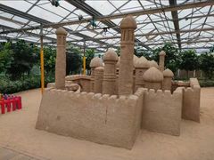 -南宫五洲植物乐园