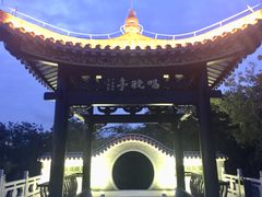 -野狸岛