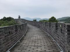 -黄贤森林公园