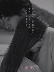 点击看大图 -金夫人婚纱摄影(包河万达店)