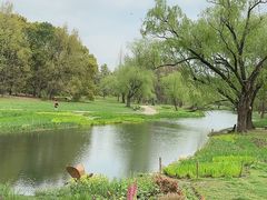 -上海共青森林公园