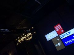 -CGV影城(壹方城IMAX店)