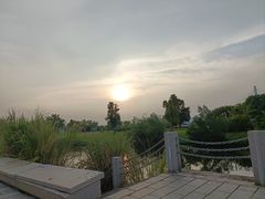 -芒洲湿地公园