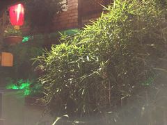 -慢丽江·云南野生菌土鸡锅(付家庄店)