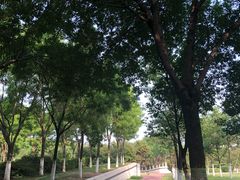 -北京国家会计学院