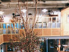 大堂-Cafe Alice咖啡爱丽丝(奥城店)