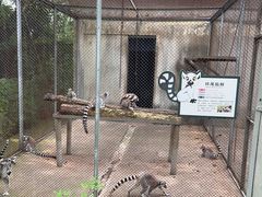 -合肥野生动物园