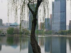 -后襄河公园