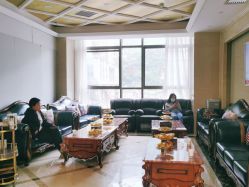 -碧莲盛·不剃发植发