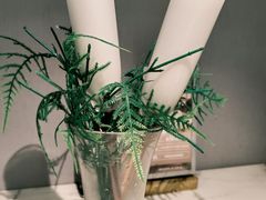 -探窝·竹笙椰子鸡(车陂店)