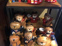 -猫咪博物馆(顶澳仔猫街店)