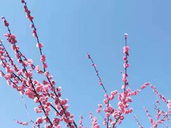 -白塘生态植物园