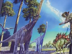 -房山世界地质公园博物馆