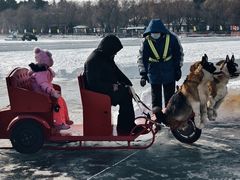 -长春市南湖公园