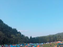 -武陵山森林公园