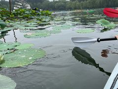 -WhaleSports户外水上运动俱乐部(朝阳公园店)