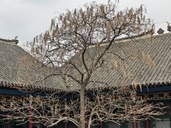 -张学良旧居陈列馆