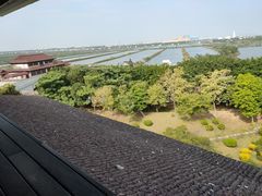 -大湾区中央湿地公园