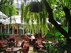 -Fern Forest Cafe