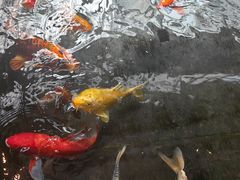 -天津海河悦榕庄·Lobby Lounge大堂吧